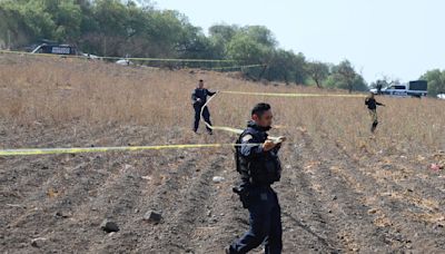 Police searching for clandestine crematorium in Mexico say bones found around charred pit are of "animal origin"