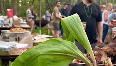 What are ramps? And why is everyone obsessed with eating them?