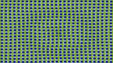 32 optical illusions and why they trick your brain