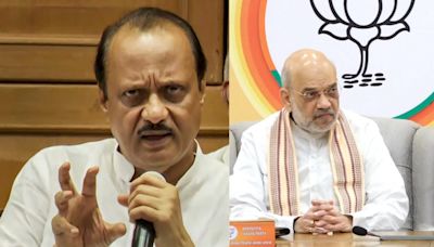 Maharashtra: Dy CM Ajit Pawar meets Amit Shah, demands 80-90 seats in assembly polls