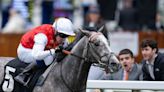 'It wasn't on the agenda to start with' - Jasour supplemented for the King George Stakes at Glorious Goodwood