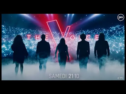 "The Voice 2024" : Lara Fabian, Marc Lavoine, 2 gagnants de l'Eurovision... Qui sont les invités de la finale de ce samedi ?
