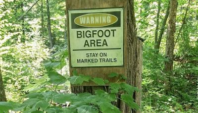 Pennsylvania Community Sees Sasquatch as Possible Answer to Tourism Woes | iHeart