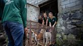 A notorious Indonesian animal market has ended its brutal dog and cat meat trade, campaigners say