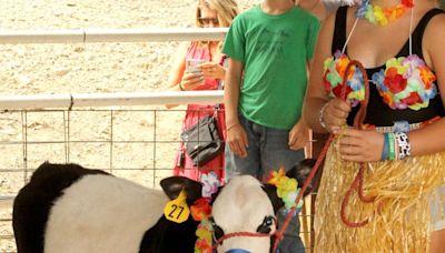 ADRENALINE TIME: Clarion Co. Fair hits high gear for final days