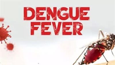 Dengue fever cases surge in Udupi, health authorities launch larva survey to combat outbreak