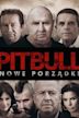 Pitbull. Nowe porządki