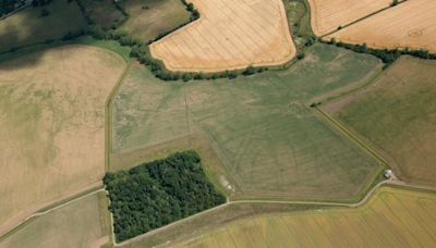 Remains of Roman small town given protection as scheduled monument