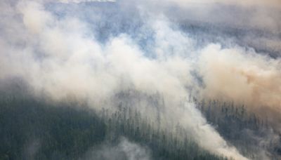 Más de un millón de hectáreas de bosques se incendiaron en Rusia