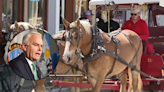 NYC lawmaker proposes law banning 'barbaric' horse carriage industry: 'Free the horses'