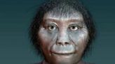 Nuevos descubrimientos revelaron que un ancestro humano era más bajo que un hobbit