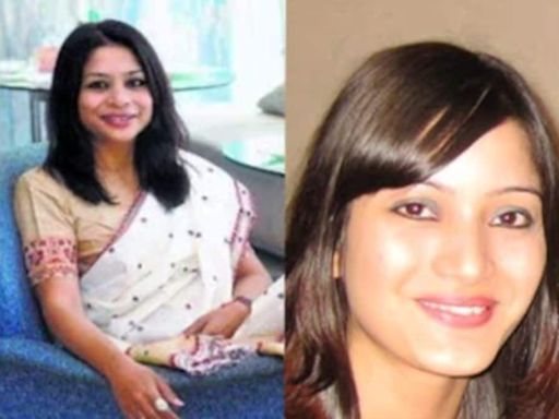 Mystery deepens: Sheena Bora's 'untraceable' remains found at CBI office in Delhi