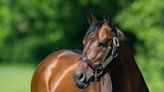 Sea The Stars rains on Galileo's centenary parade at Longchamp