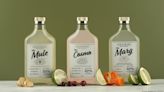 Albany bottled cocktail brand lands in 100 stores - Albany Business Review