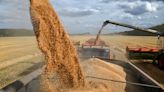 Russia: annual grain harvest to grow 5 million tonnes thanks to 'new territories'