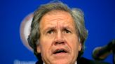 OAS boss traveled with female aide at center of ethics probe