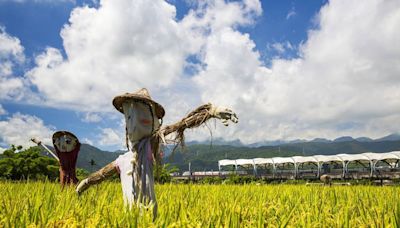 蘭陽鐵道散策 到宜蘭冬山車站體驗田園生活的美好