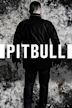 Pitbull