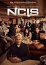 NCIS season 19