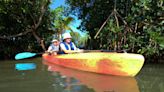 Ian deluge sure to 'shock' Indian River Lagoon; heavy rain and runoff bad news for estuary