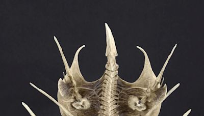 NECA Continues the Hunt with Predator Bone Throne Diorama Reissue