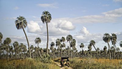 Entre Ríos siempre estuvo cerca: 8 highlights de una provincia que merece más que una escapada