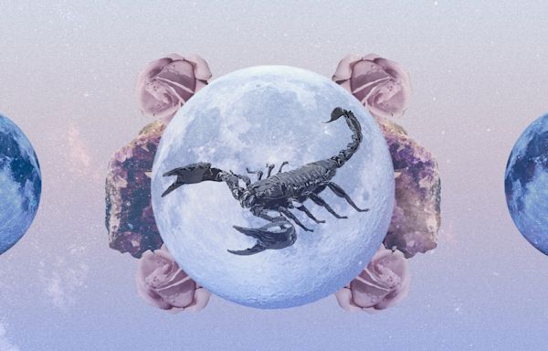 Scorpio May 2024 Horoscope: Read Your Monthly Predictions