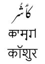 Kashmiri language