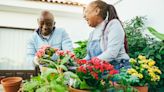 Why gardening is good for the brain