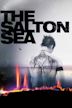 The Salton Sea