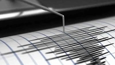 Se registraron dos sismos en Mendoza: ¿sentiste alguno? | Sociedad