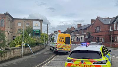 Woman dies after she was hit by a bus in town crash, police confirm
