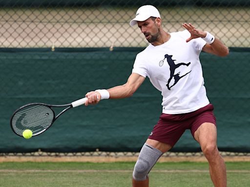DAN EVANS: Why I'm backing Djokovic over Alcaraz at Wimbledon