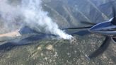 B.C. Wildfire Service says several new fires ignited by lightning | CBC News