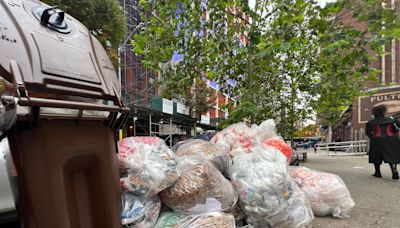 New York's viral new trash cans unveiled nearly 2 years after a $1.6 million contract with consultancy giant McKinsey