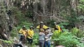 California man, 34, was supposed to go on a 3-hour hike. He was found 10 days later covered in mud