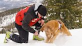 Adorable ski patrol dog gets lift down mountain after a hard day's work