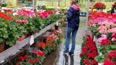 Planting Possibilities to have Annual Spring Plant Sale