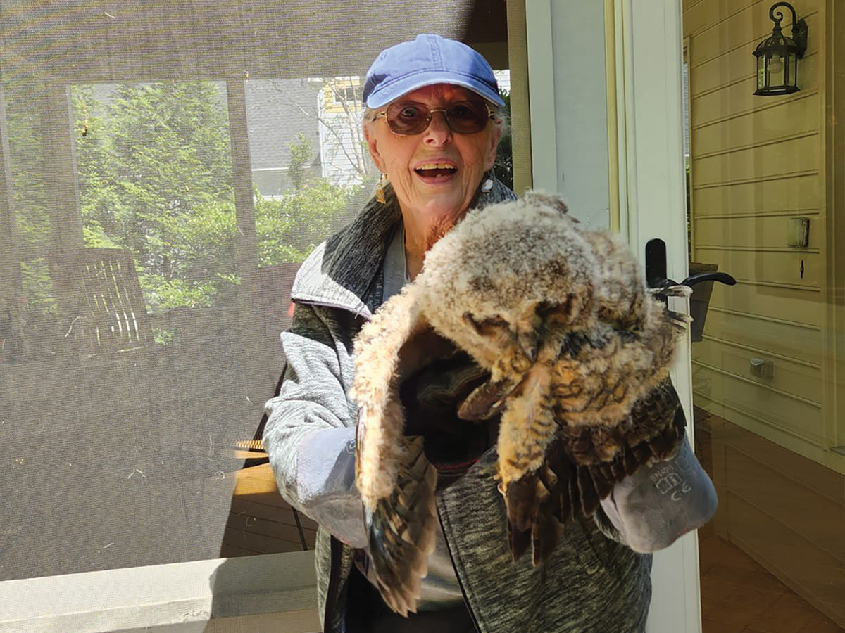 Meet the Woman Who Has Rescued 300 Wild Raptors in 5 Years