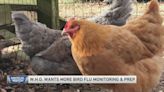 W.H.O wants more bird flu monitoring — and other health news