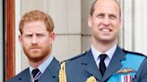 Prince Harry reveals the ‘lie’ that was ‘told to protect Prince William’