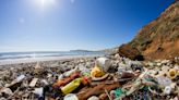 Could microbes help turn plastic pollution into useful chemicals?