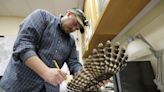 To save spotted owls, US officials plan to kill hundreds of thousands of another owl species