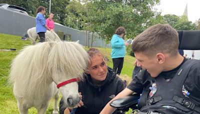 Equine students from Wicklow ‘make connection’ on visit to special school