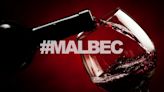 El Malbec está cambiando: hacia dónde van los vinos argentinos, según expertos