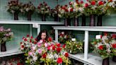 Photos: Norfolk Wholesale Floral prepares for the Valentine’s Day rush