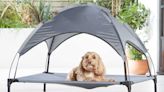 Aldi's £20 dog sun lounger back in stock and selling fast
