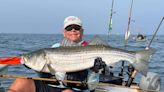 Fishing Report: Getting the drop on the stripers