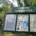 Nairobi Arboretum