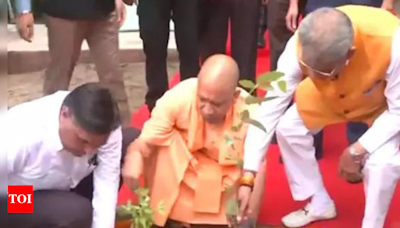 CM Yogi plants sapling as part of plantation campaign - Times of India